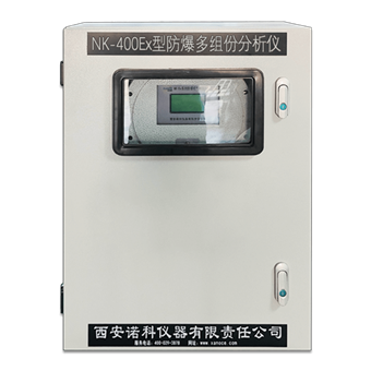 NK-400Ex型防爆式多组份气体分析仪